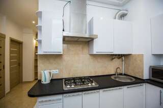 Апартаменты Avangard Kulisha* Apartment Львов Апартаменты с 2 спальнями-33