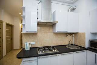 Апартаменты Avangard Kulisha* Apartment Львов Апартаменты с 2 спальнями-88