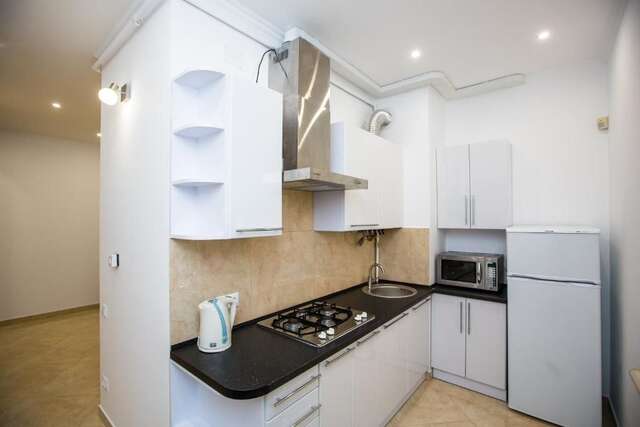 Апартаменты Avangard Kulisha* Apartment Львов-76